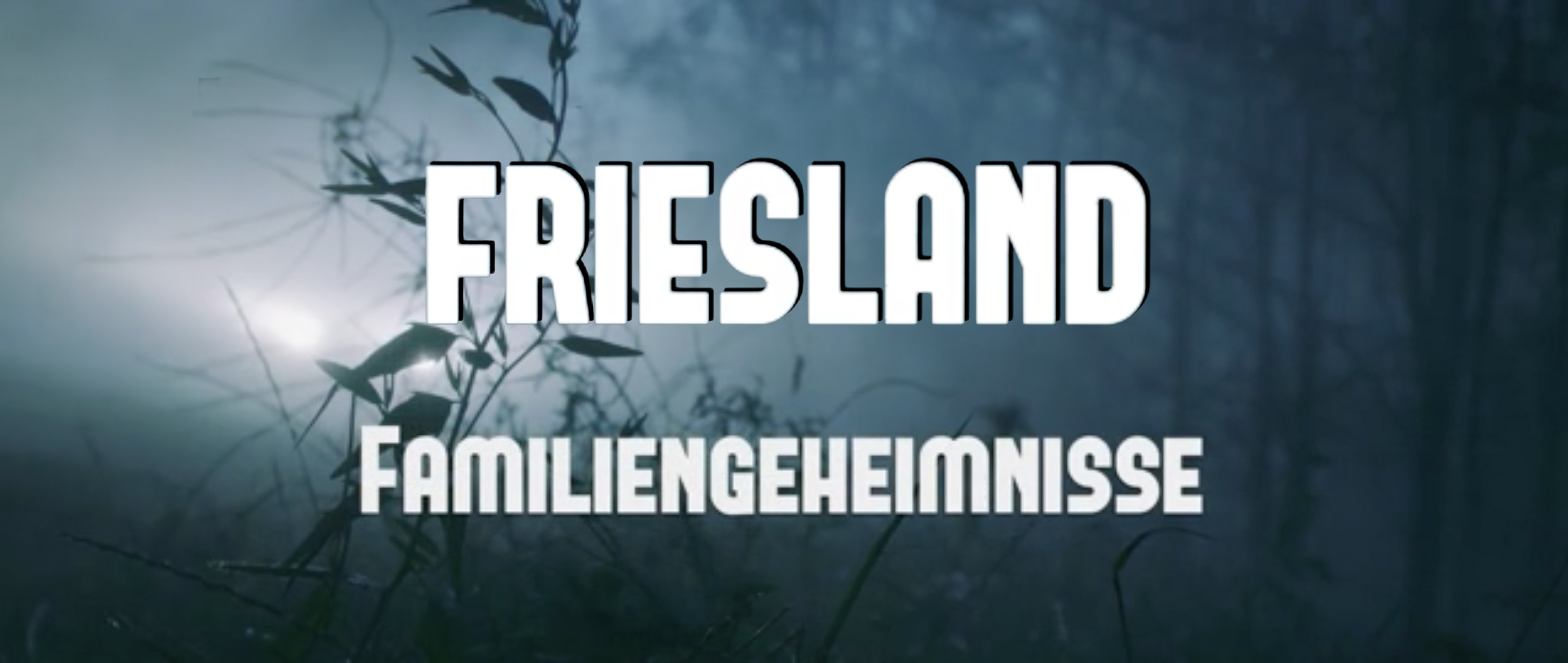 Friesland - Familiengeheimnisse